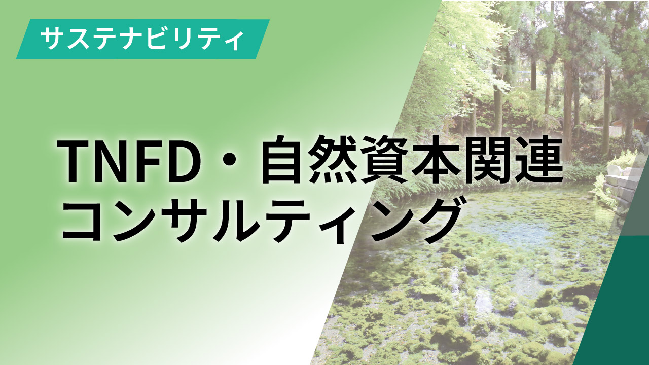 TNFD・自然資本関連支援コンサルティング