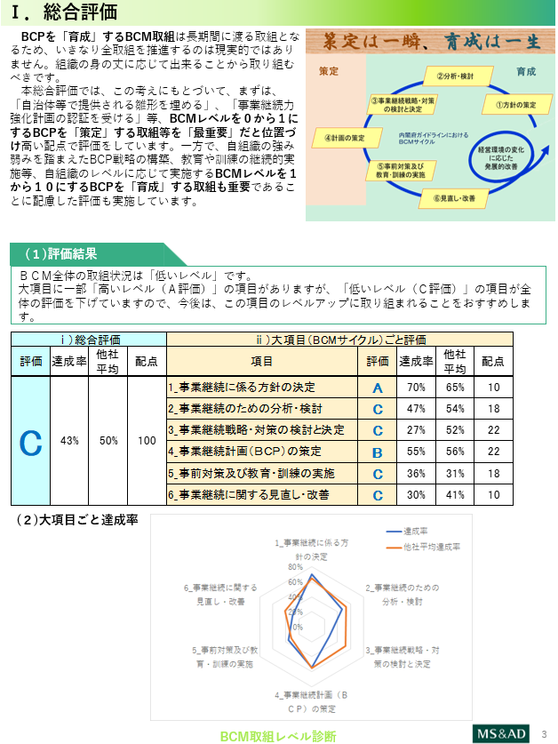 レポートイメージ レベル診断