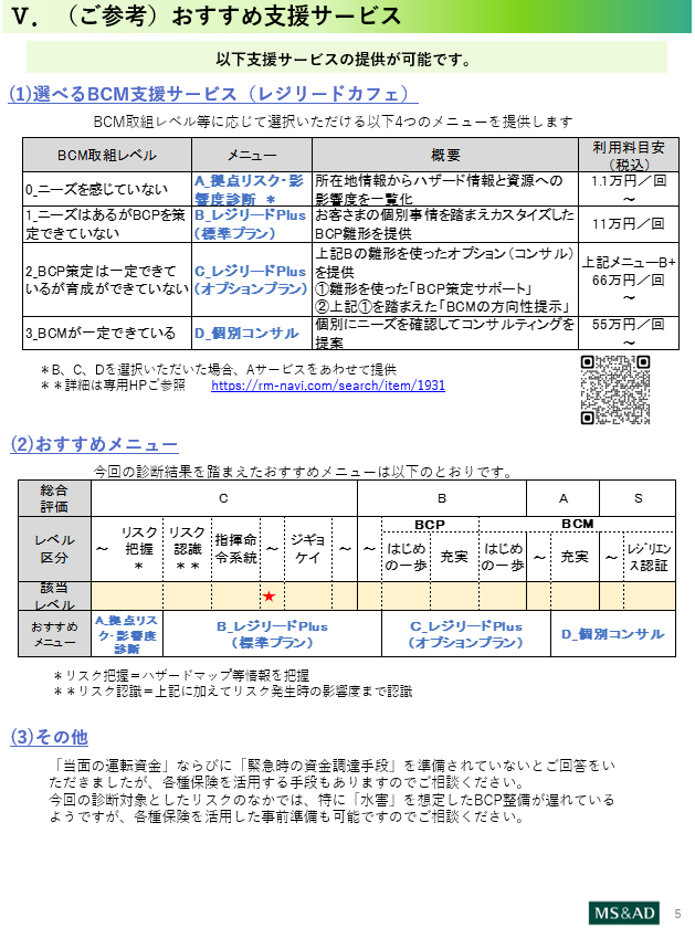 レポートイメージ レベル診断