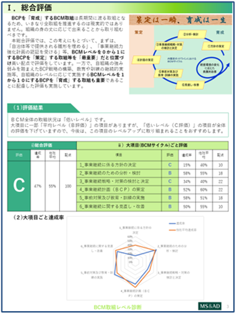 レポートイメージ レベル診断