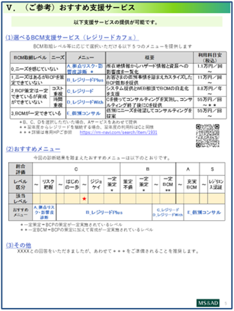 レポートイメージ レベル診断