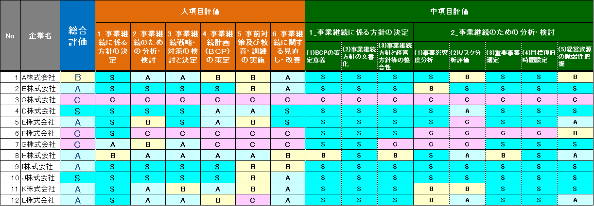 アウトプットB：「BCMレベル診断レポート」イメージ