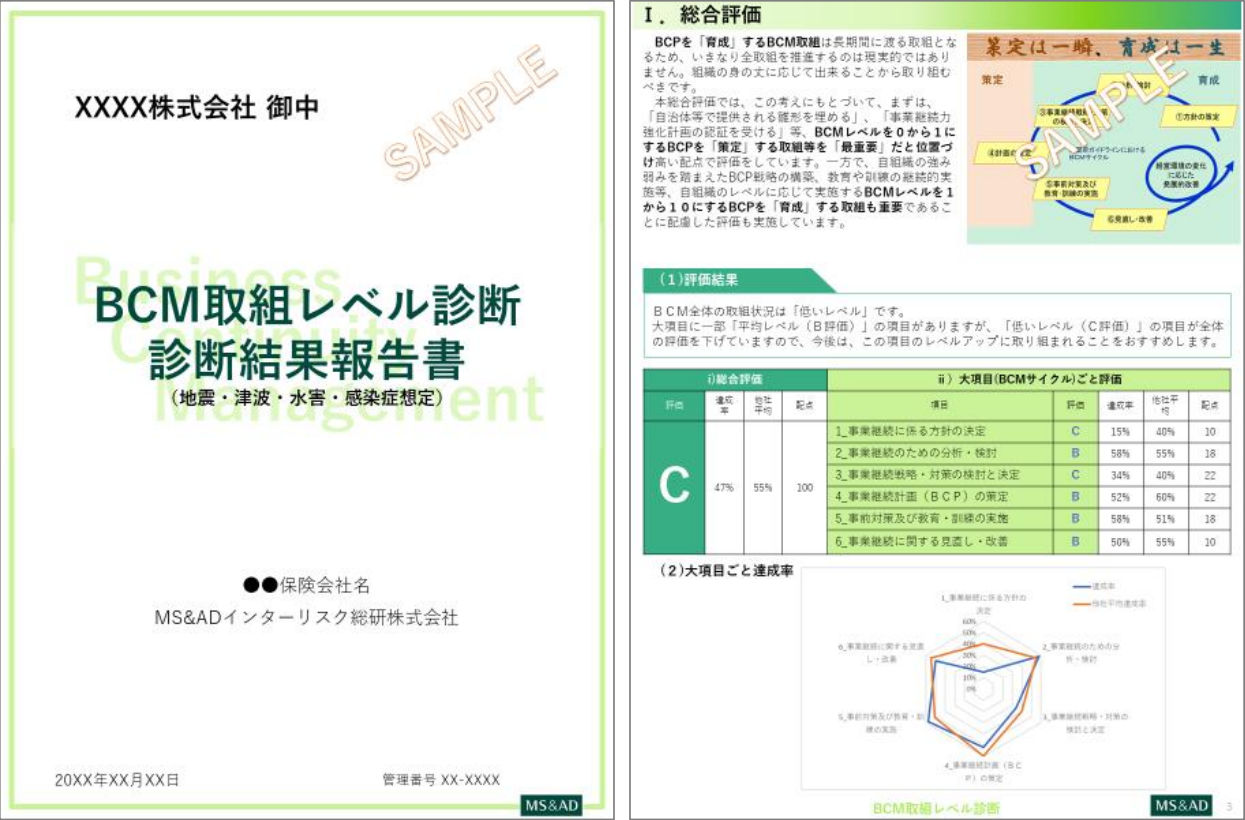 アウトプットB：「BCMレベル診断(個別企業あて報告書)」イメージ