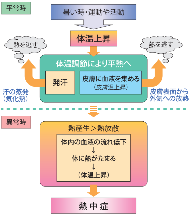 熱中症発生のメカニズム