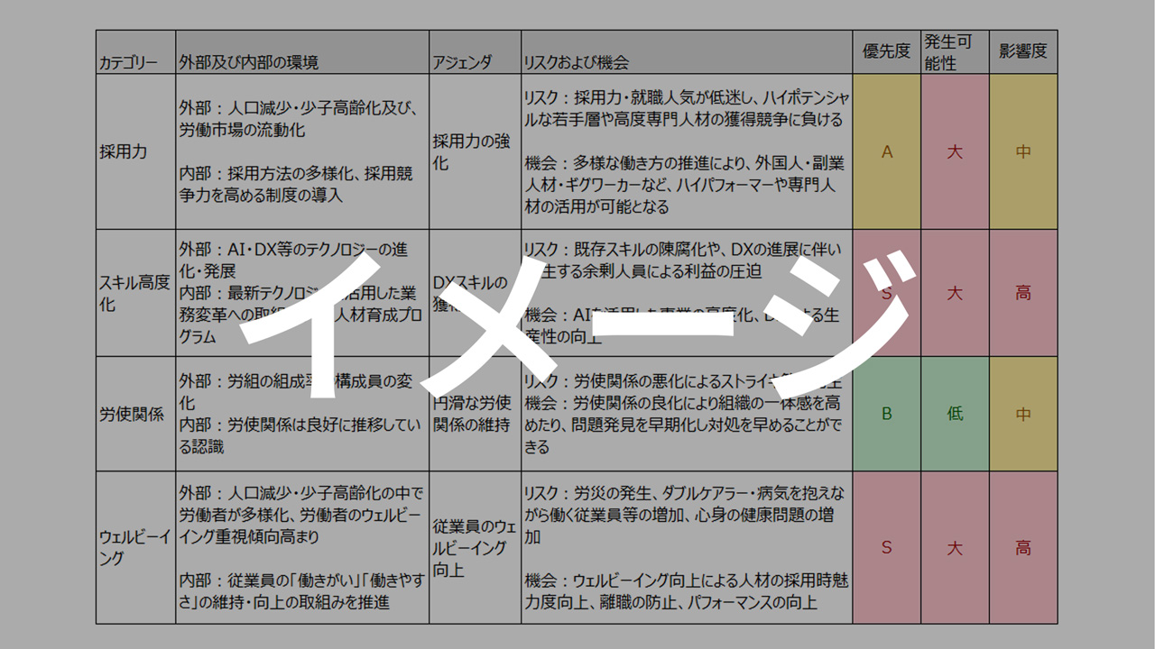 支援例①：人的資本のリスク及び機会の分析と、結果に基づく人材戦略策定