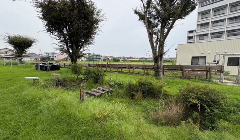 実際に設置された雨庭の様子（中央の窪んでいる部分）