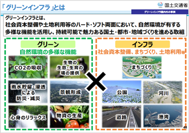 実際に設置された雨庭の様子（中央の窪んでいる部分）