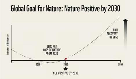 ネイチャーポジティブに向かう道筋