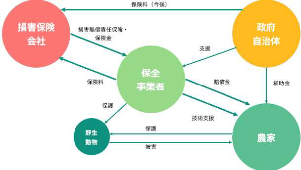 NbSプロジェクトでの損害賠償責任保険パイロットテストにおける相関図