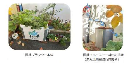 小規模グリーンインフラの設置例