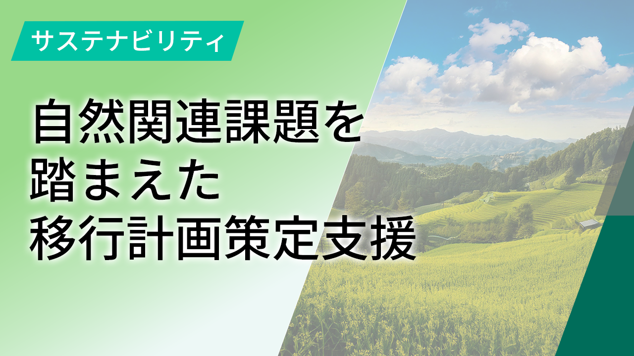 自然関連課題を踏まえた移行計画策定支援