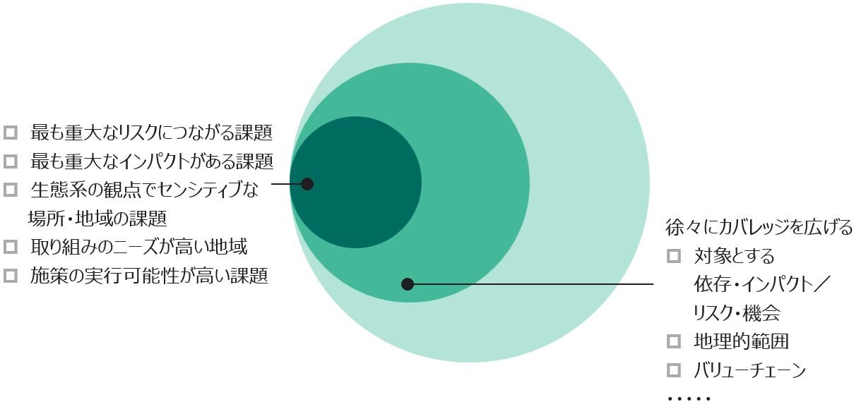 SSBJギャップ分析・勉強会