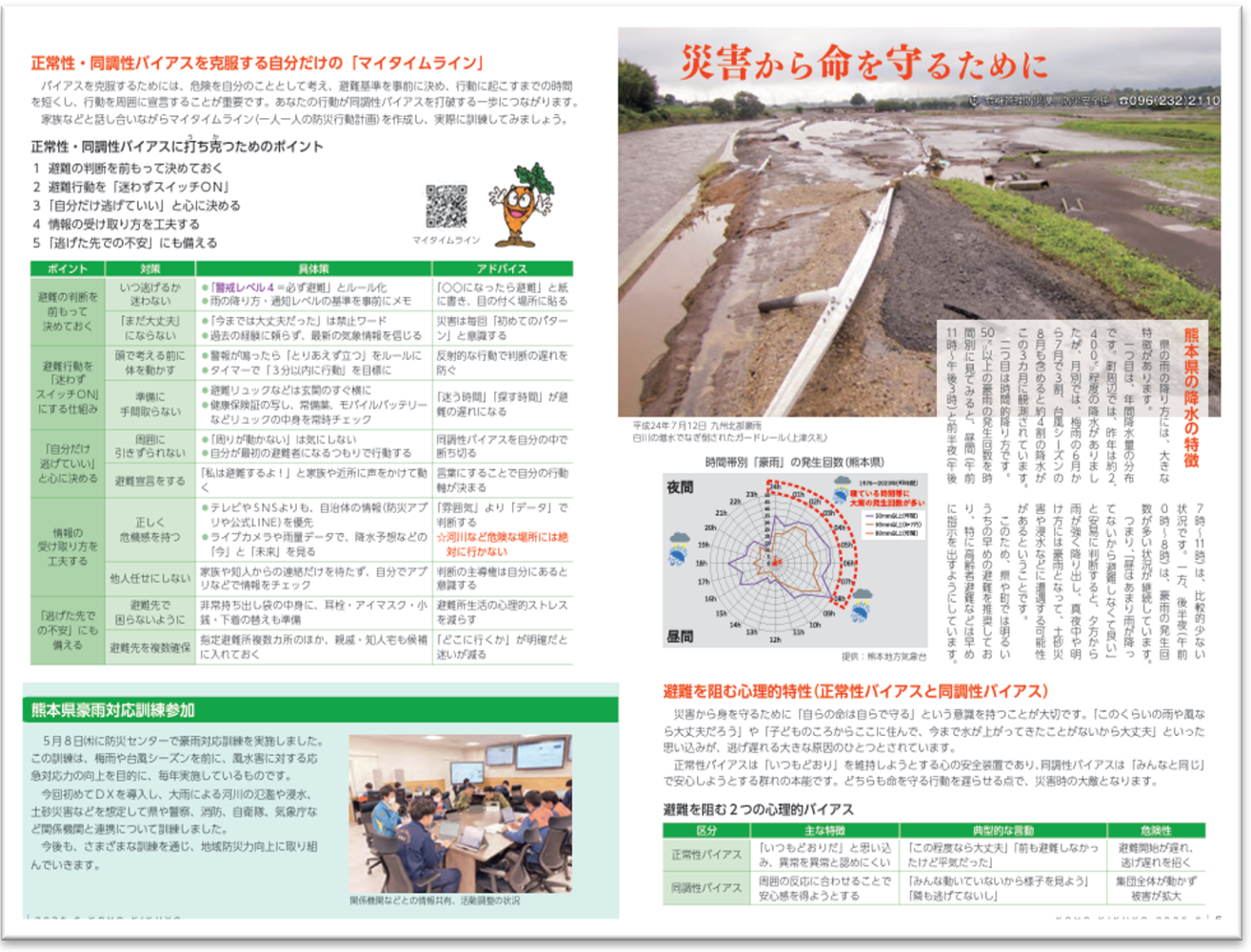 サンプル画像