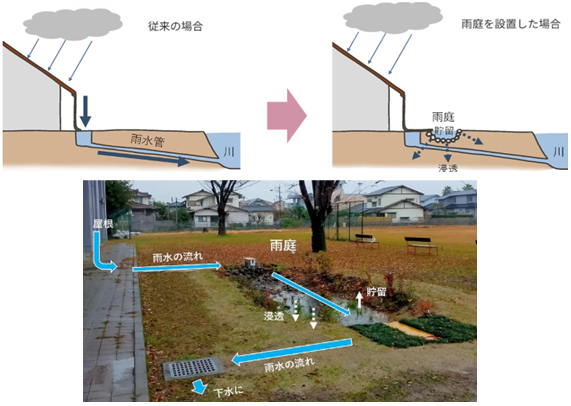 サンプル画像