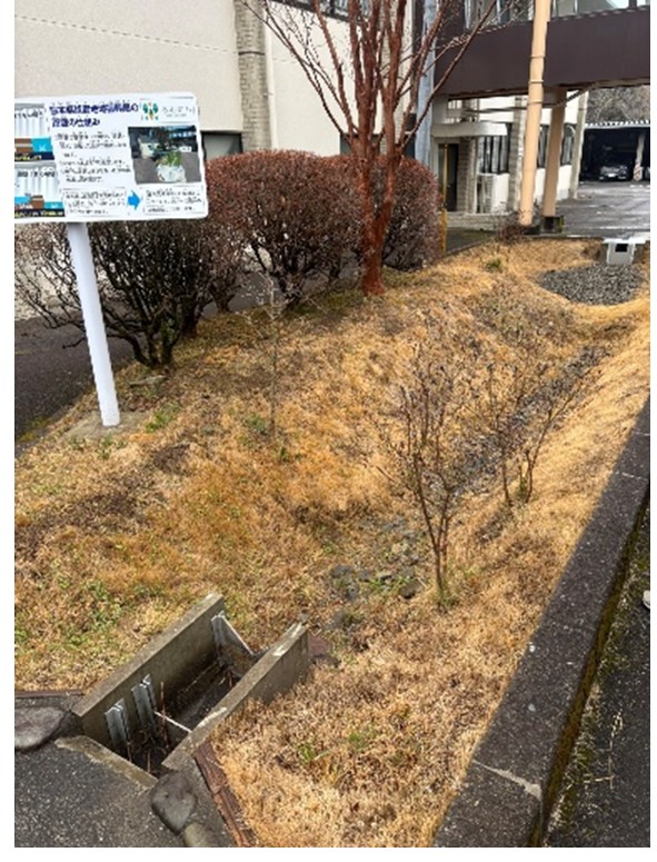 雨庭