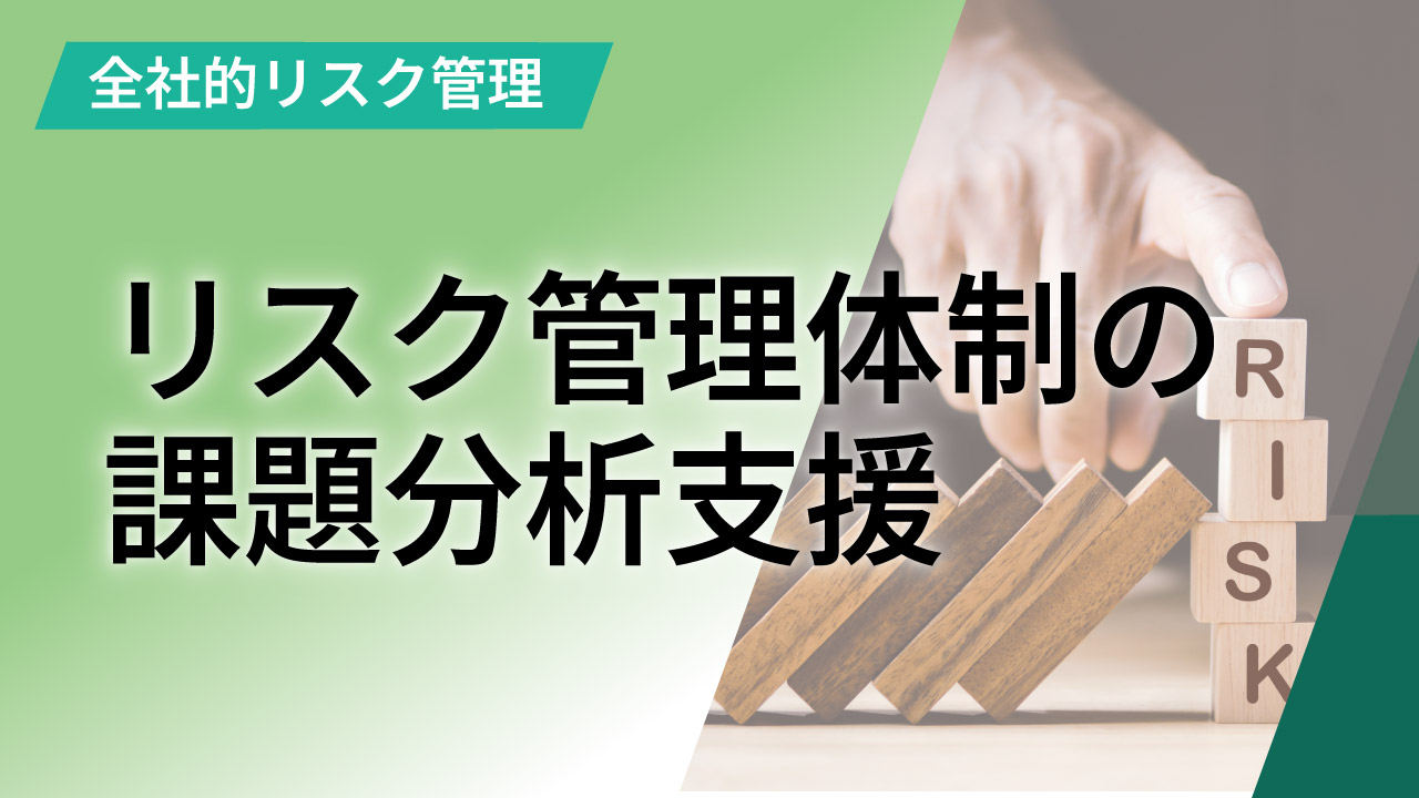 リスク管理体制の課題分析支援」