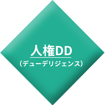 人権DD