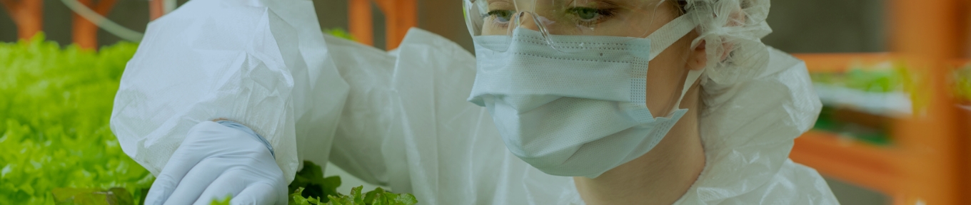 PLレポート 製品安全（2015年8月）